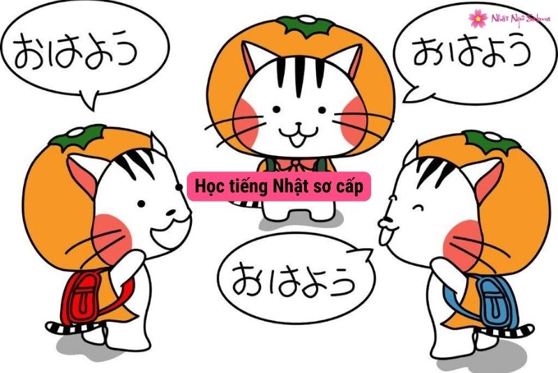 Học tiếng nhật sơ cấp