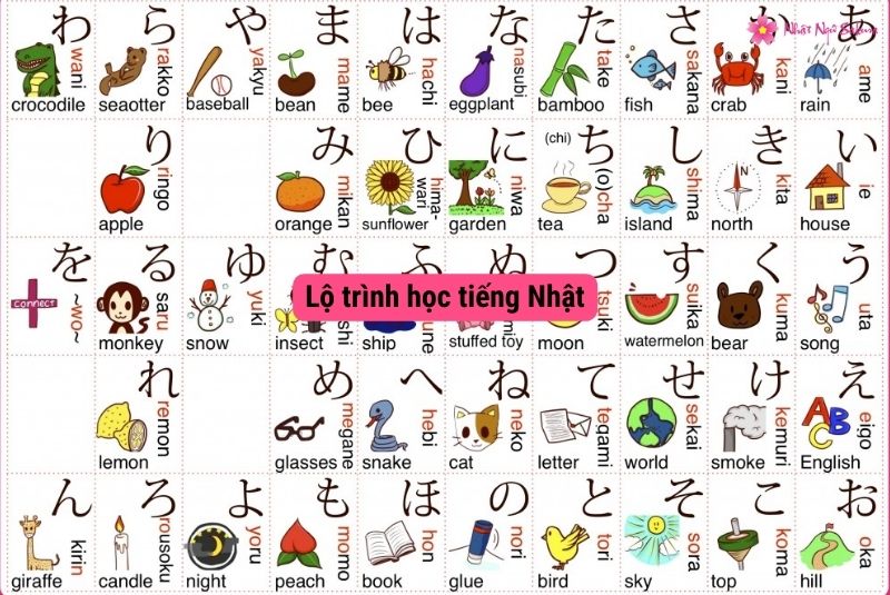 Lộ trình học tiếng Nhật